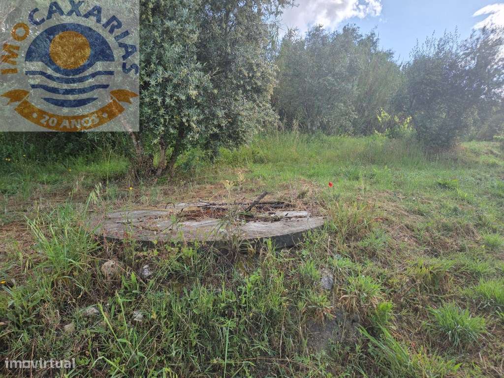 Quintinha de 1.800m² com Casa de Apoio Equipada e Água de Poço-13