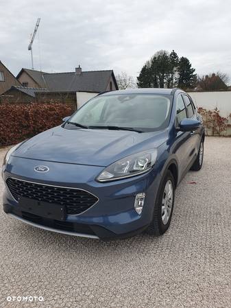 Ford Kuga 1.5 EcoBlue ST-LINE - 19