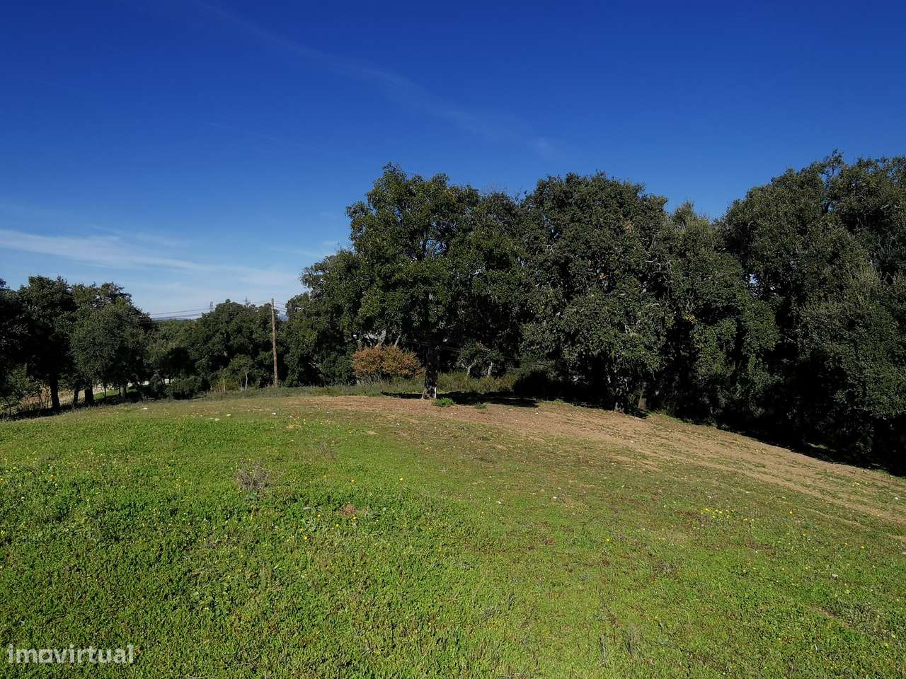 Moradia Terrea para recontruir-10