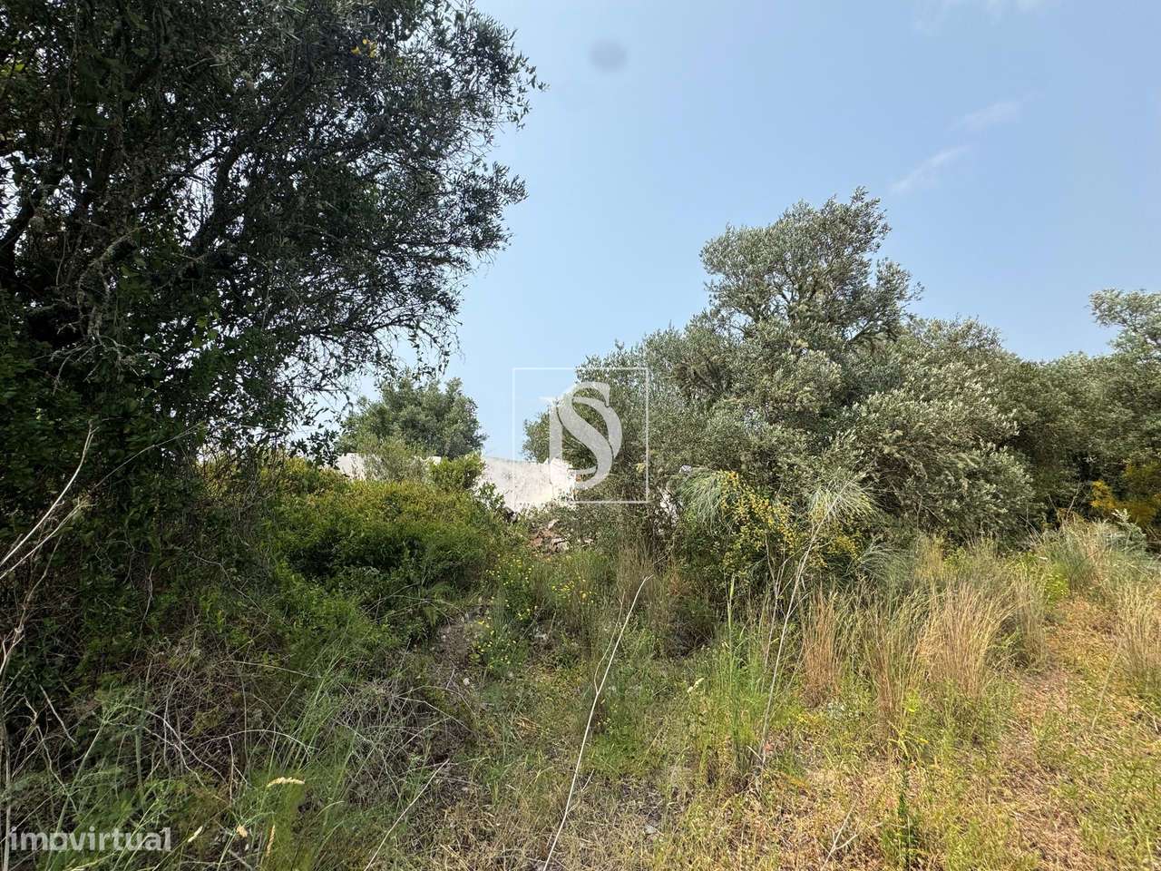 Quintinha em Montargil-6