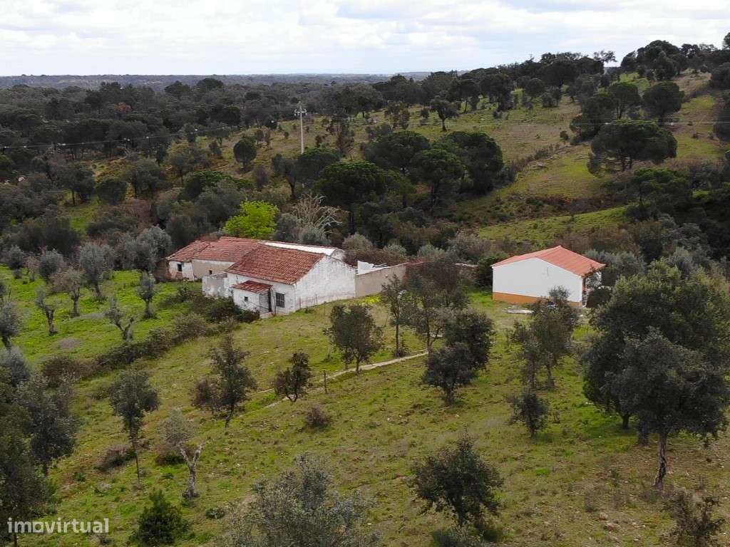 QUINTA COM 5HA DE TERRENO COM 500M2 URBANO - GALVEIAS - PONTE DE SOR-26