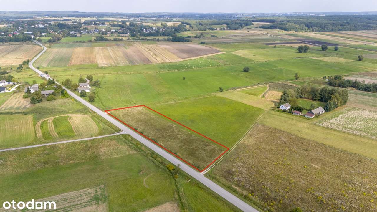 Działka rolna 0,5ha - Maciejowice, gm. Gnojno - Pełny obrazek: 5/5