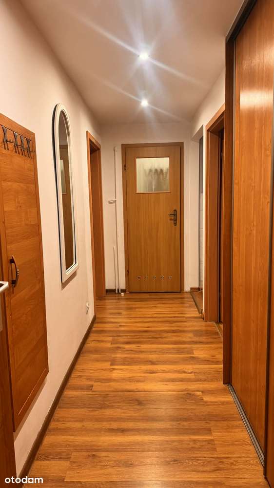 Wynajem 2-pokojowego mieszkania z piwnicą - Pełny obrazek: 4/5