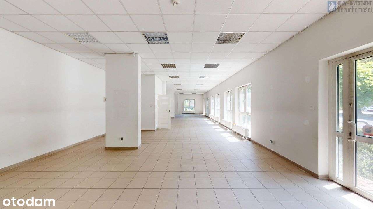 Parter | centrum | 3 wejścia | witryny | wys. 3m - Pełny obrazek: 2/15