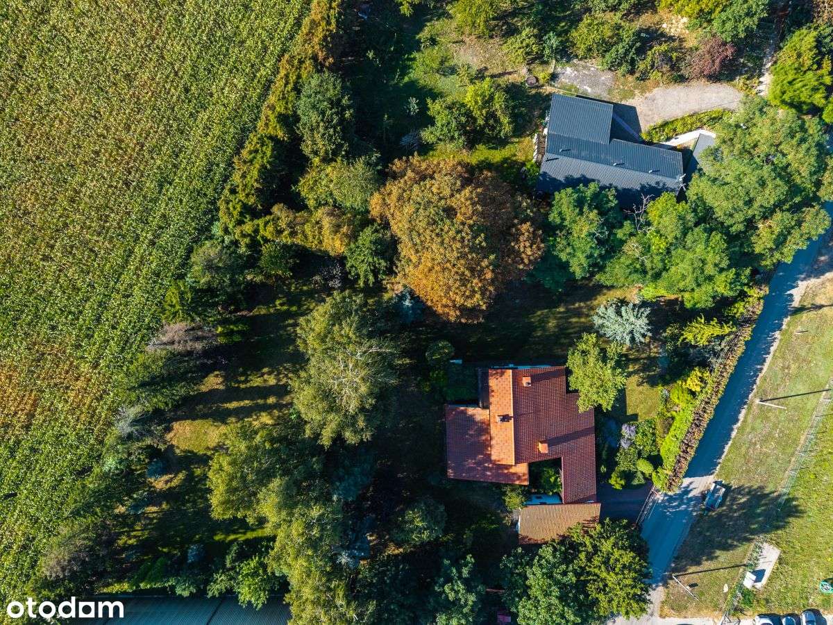 Wyjątkowy dom z garażem i przestronną działką-2