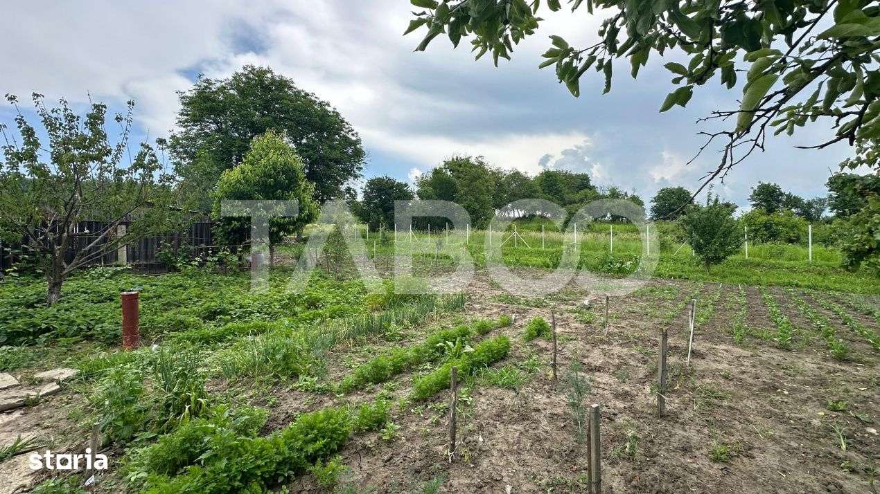 Casa individuala Comision 0%  3 camere anexe teren 800 mp Rusi Sibiu - Imagine principală: 3/18