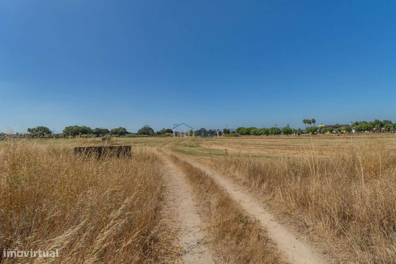 Terreno com 35000 m2 e moradia para reconstruir no Montijo-15