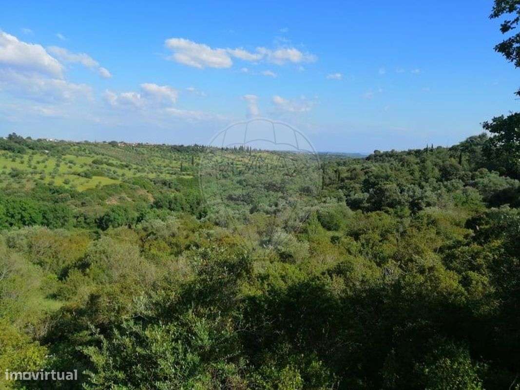 Terreno  para venda - Grande imagem: 5/7