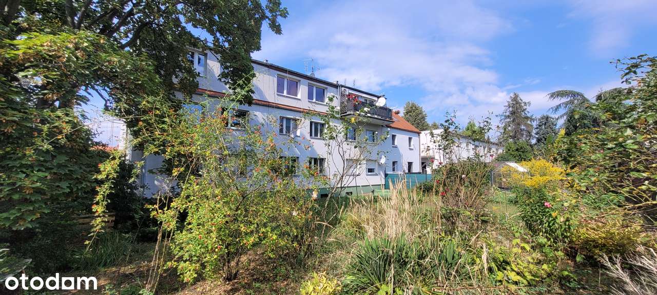 Atrakcyjne dwupoziomowe, ul. Pierwiosnkowa, Grabiszyn-1