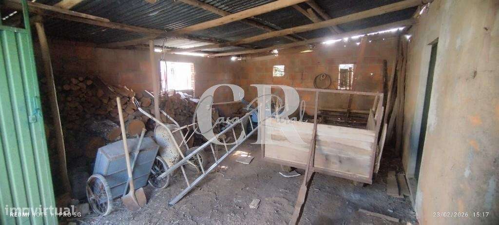 Moradia T3 com vários anexos, terreno e poço-39