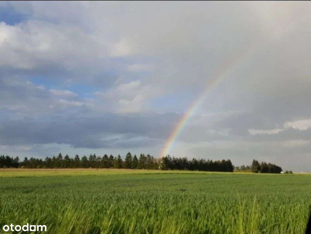 TRZCIELIN działki budowlane PCC-0% - Pełny obrazek: 4/9