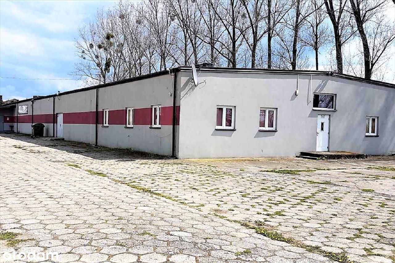 Budynek Magazynowy 1600 m2 .na działce 19 150 m2