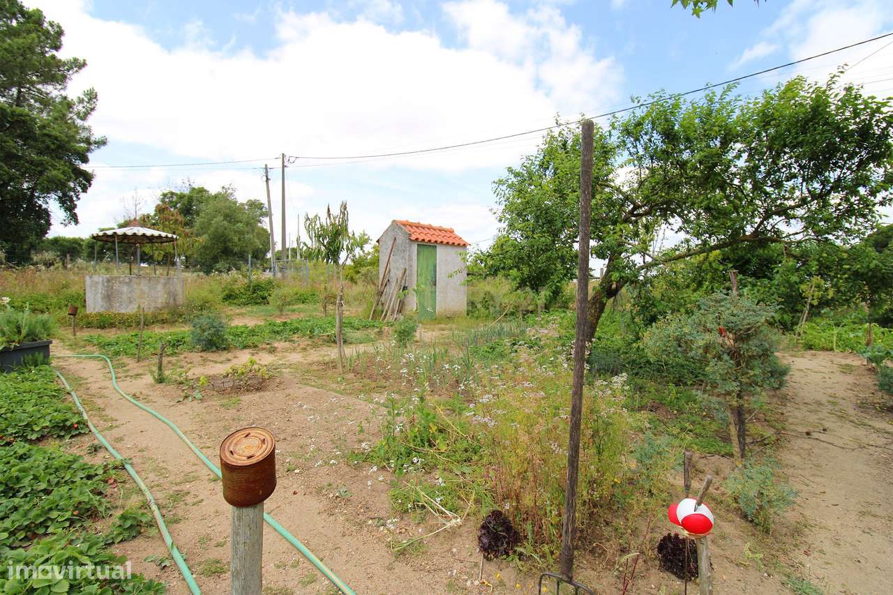 Quinta com Moradia Bi-familiar, construída num lote de 7.500 m2, em Pa-33