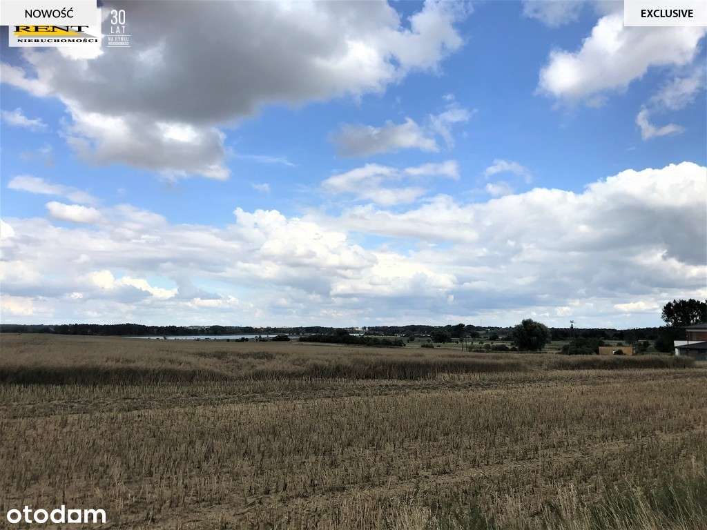 Działka,teren,grunt,ziemia, jezioro pod Pyrzycami - Pełny obrazek: 5/8