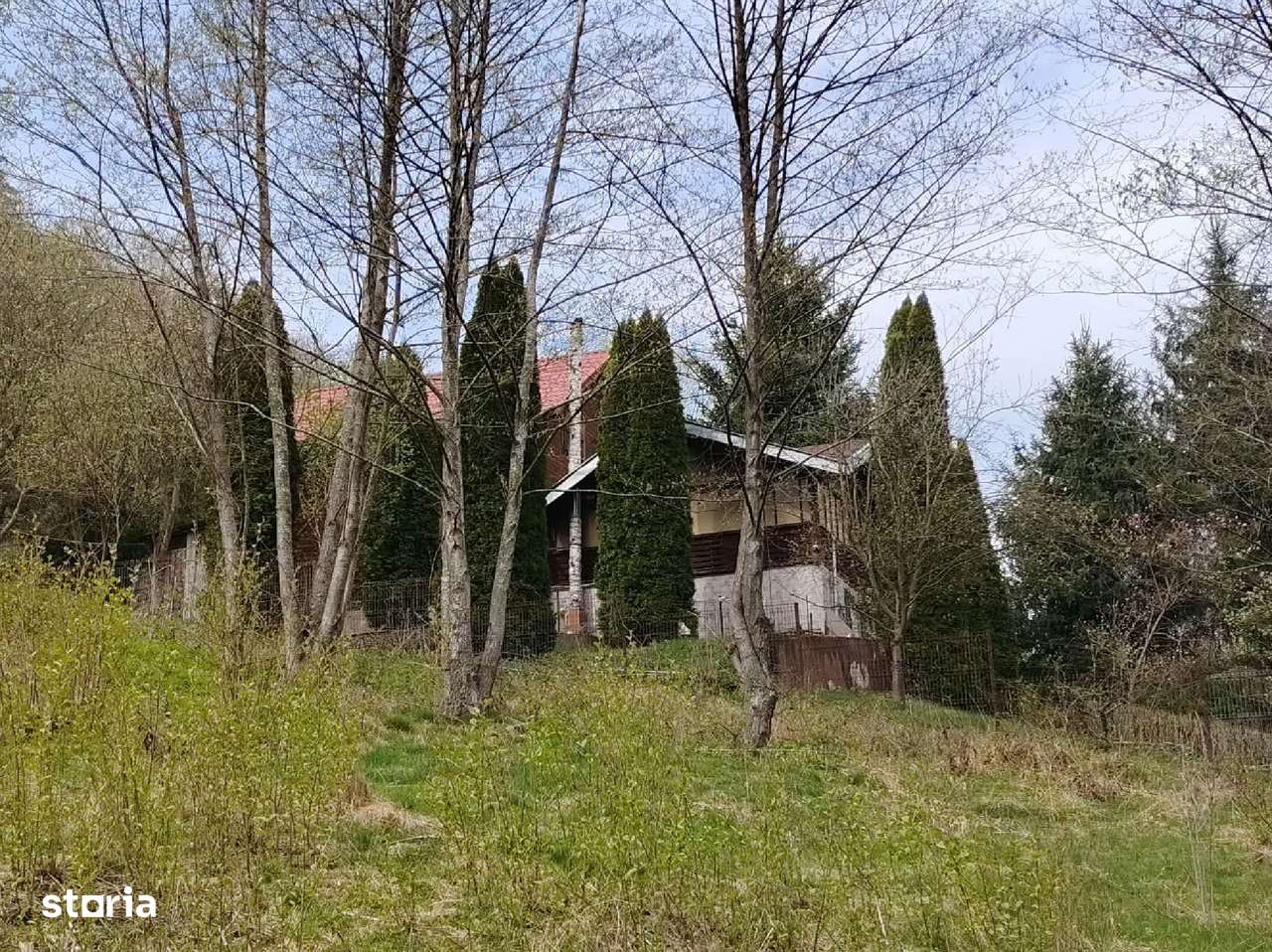 Proprietate de vacanta Valea Oltului - BREZOI-7
