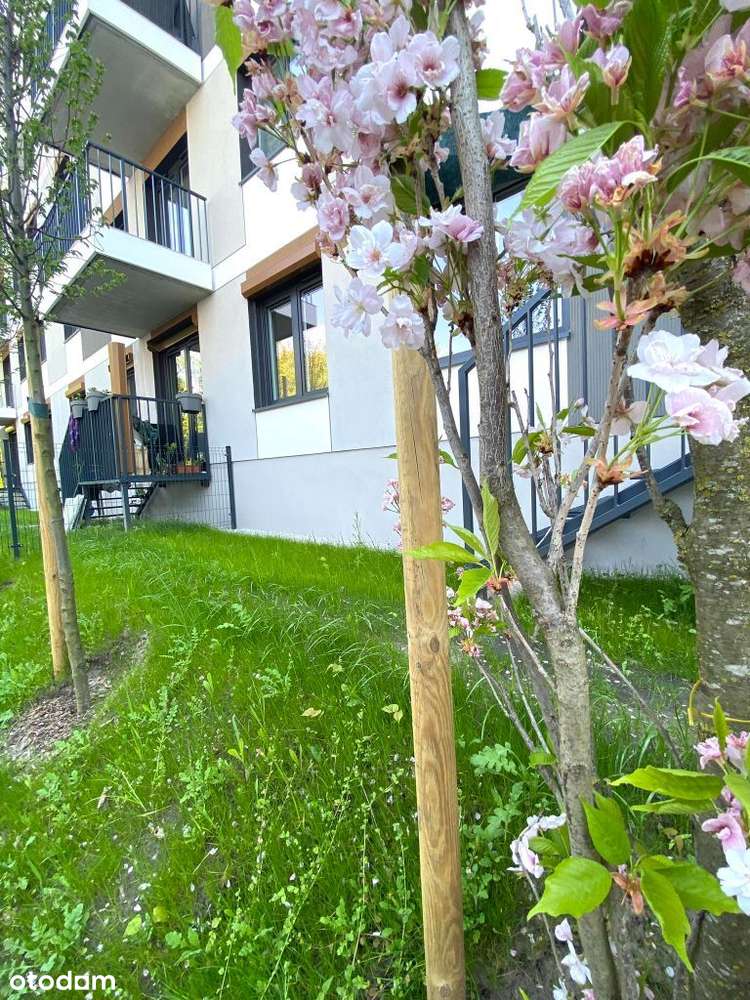 Mieszkanie 2 pokoje ul.Jeleniogórska ,ogródek ,m.postojowe - Pełny obrazek: 3/18