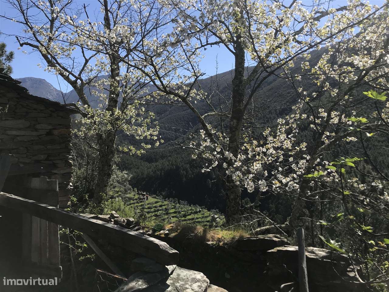 Quintinha  Venda em Vide e Cabeça,Seia - Grande imagem: 5/6