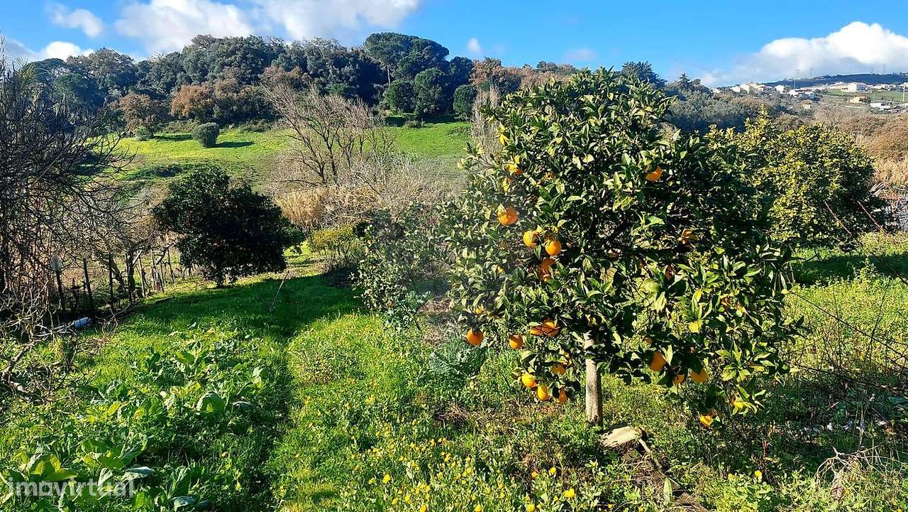 Terreno  para venda-36