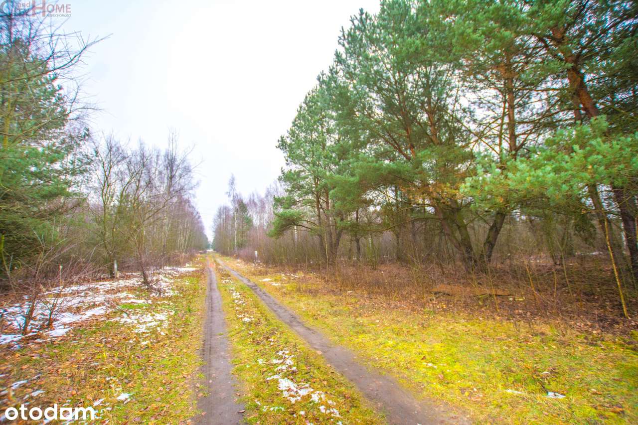 Działka, 1100.0 m², Kamionka-5