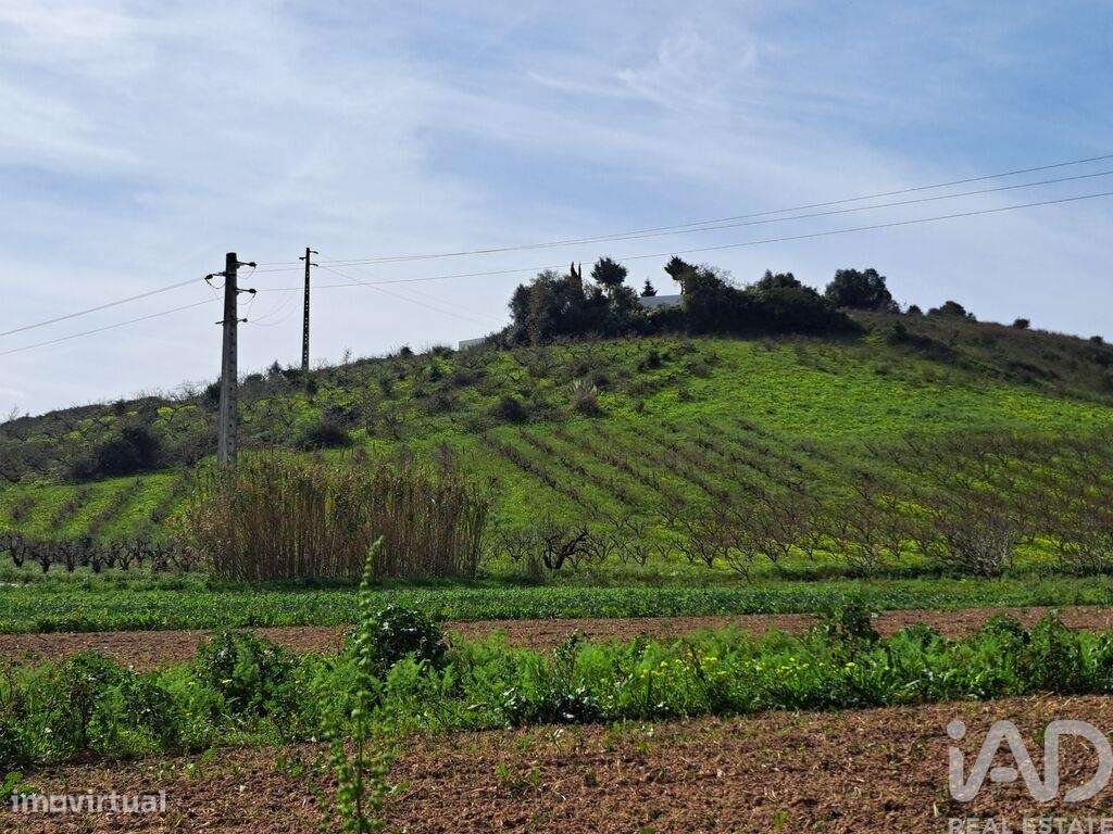 Terreno em Azueira e Sobral da Abelheira de 21437,00 m2 - Grande imagem: 4/23