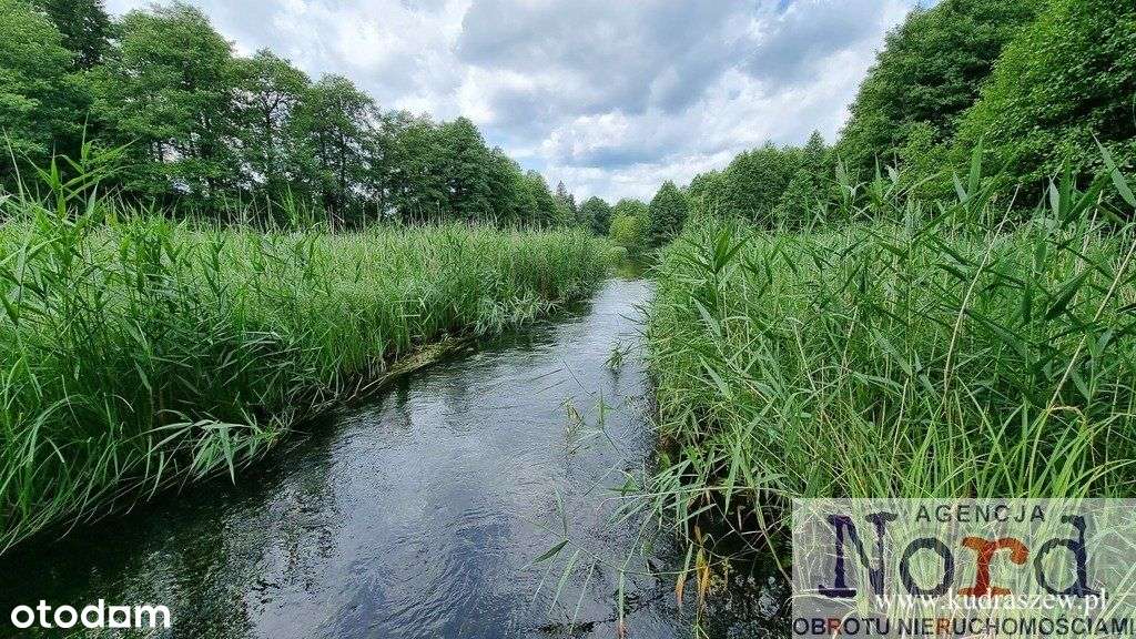 Działka przy rzece Czarna Hańcza - Pełny obrazek: 4/5