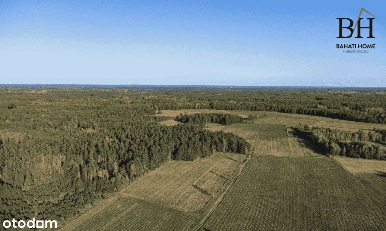 Siedlisko z potencjałem.-11