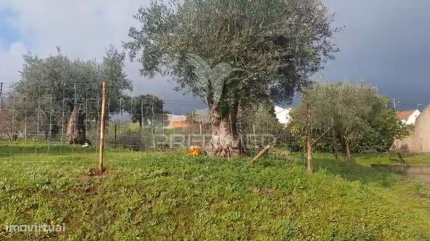 Terreno Rústico com viabilidade de construção – Lapinha, Praia do R... - Grande imagem: 3/6