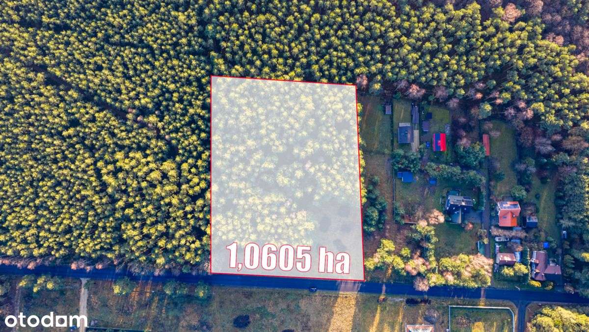 Duża Działka Budowlana Z Prywatnym Lasem-3