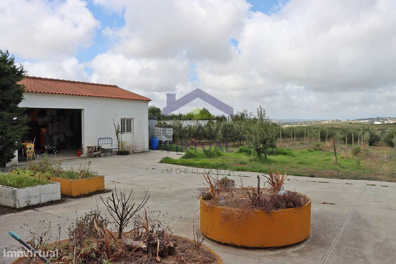 Magnífica Quinta com 19.107 m2 Carvalhal - Bombarral-51