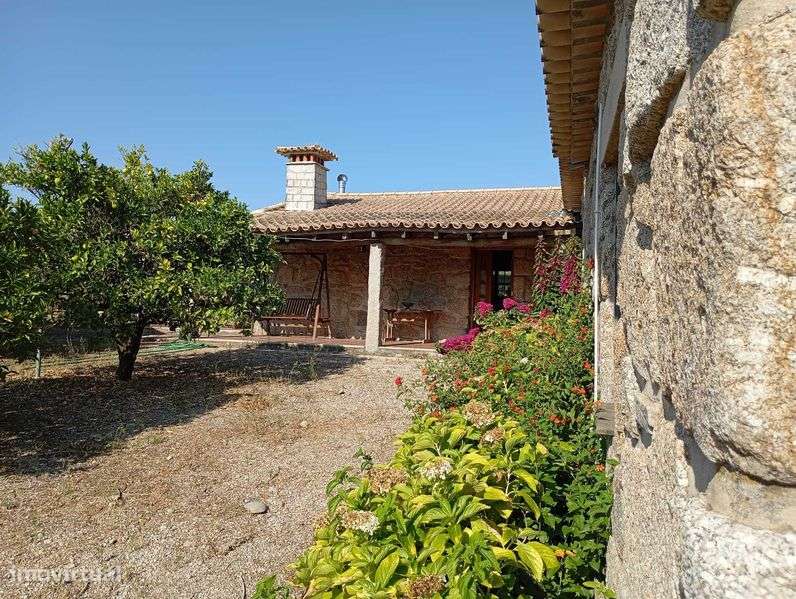 Quinta com 3 casas, vinha, olival e água em abundância, inclui recheio - Grande imagem: 4/12