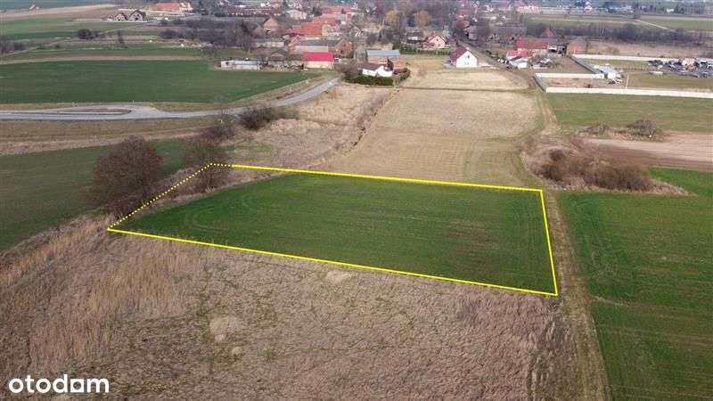 Kalsk - działka budowlana przy "rzeczce" - Pełny obrazek: 4/6