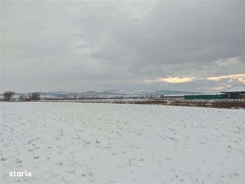 Teren intravilan, 6200 mp, Jucu de Mijloc - Imagine principală: 3/4