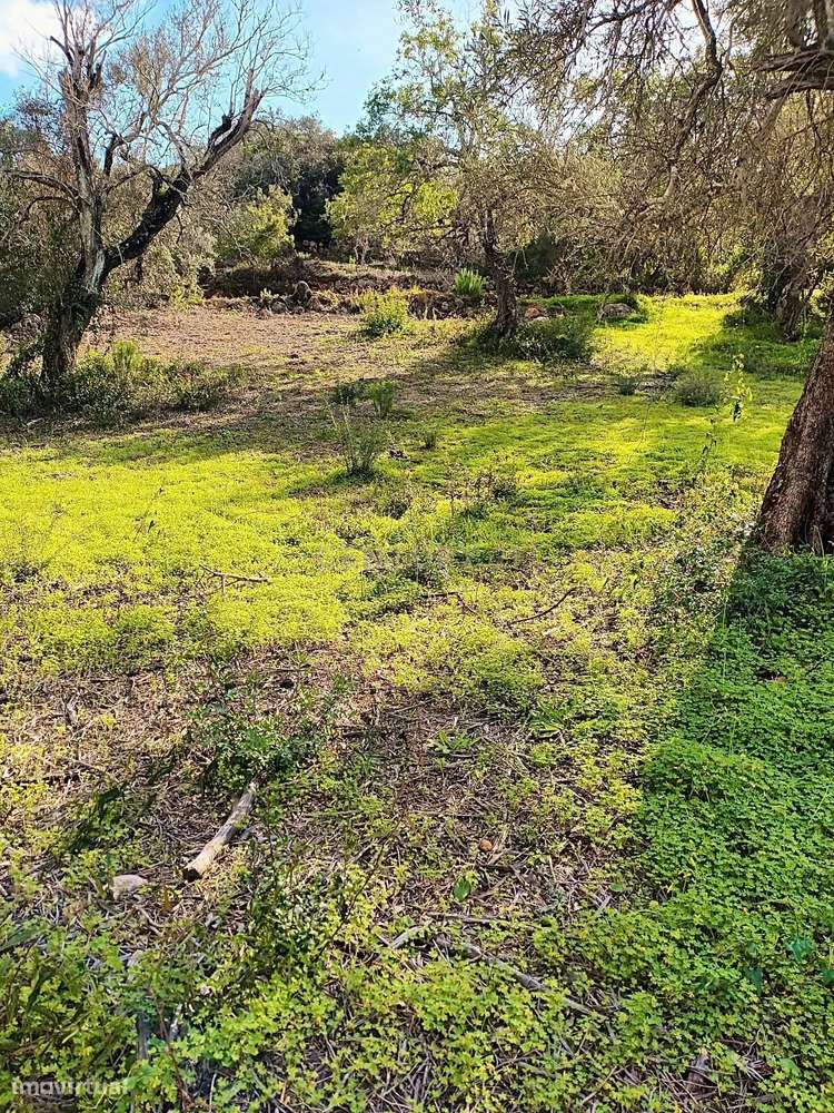 TERRENO RUSTICO EM QUERENÇA COM 1650m2-3
