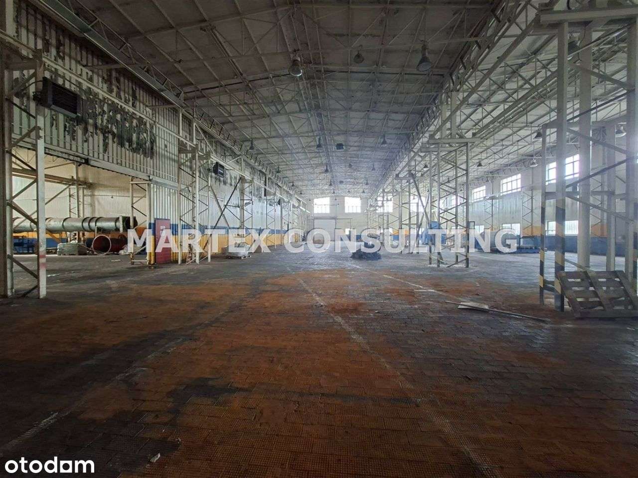 Hala/Magazyn, 2 715,27 m², Czeladź - Pełny obrazek: 4/5