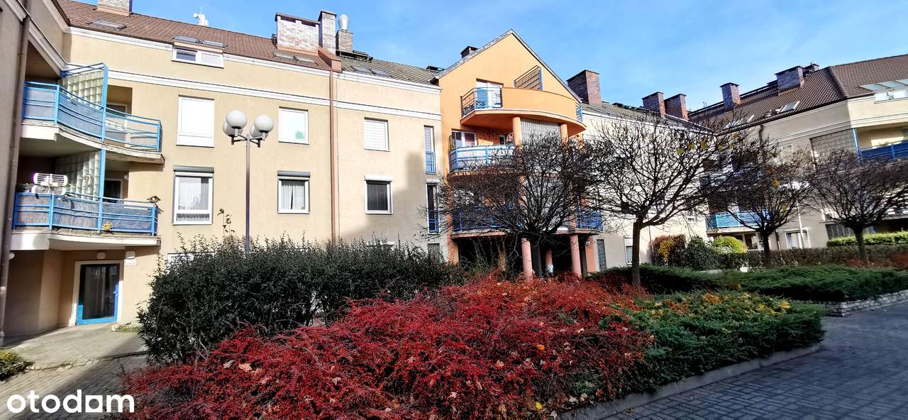 Naramowice,3pokoje+2balkony+piwnica,OGRÓD ZIMOWY!2000'