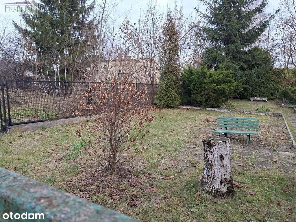 Czeladź Katowicka - dwa lokale w kamienicy, ogród-10