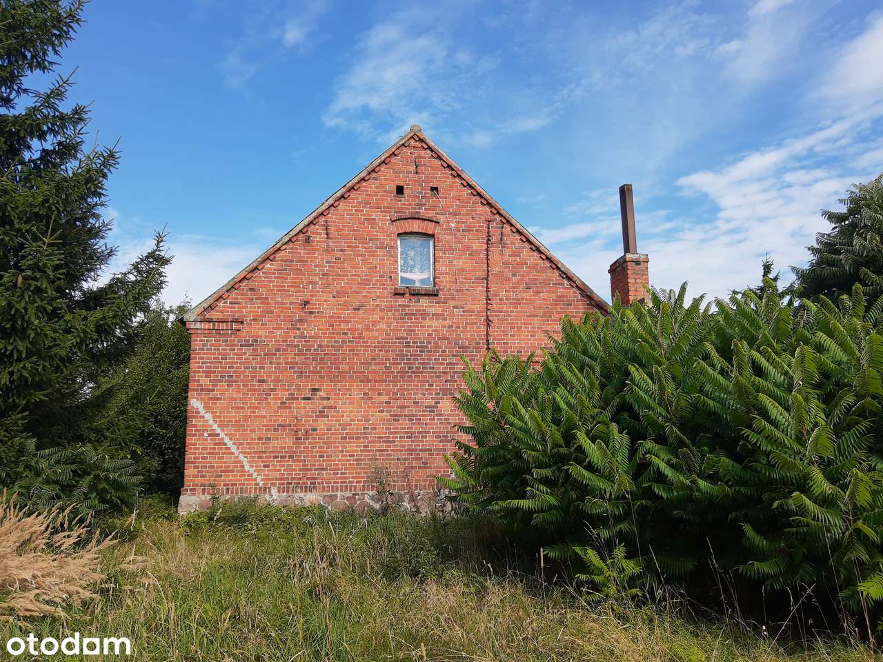 Sprzedam dom w spokojnem okolicy z dużą działką - Pełny obrazek: 5/9