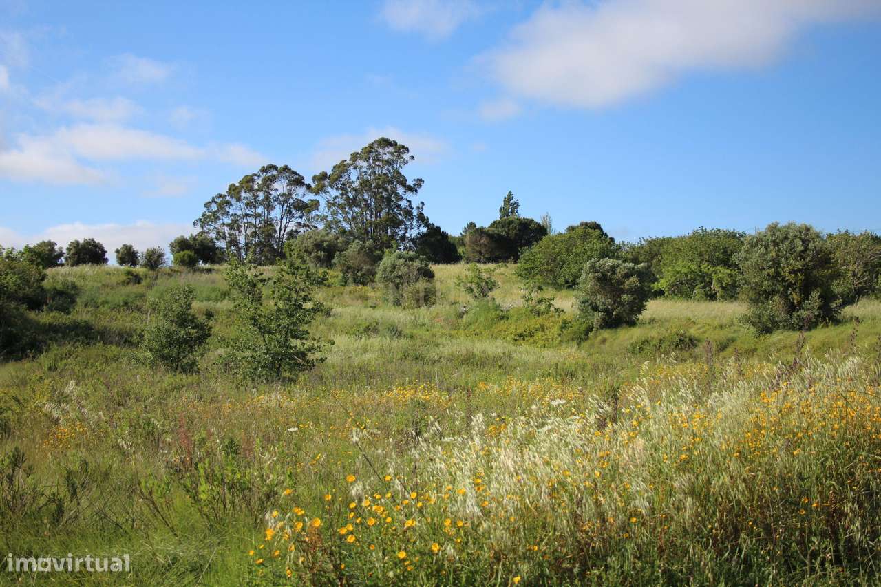 Oportunidade Única de Investimento em Terreno com Potencial Agrícola e-12