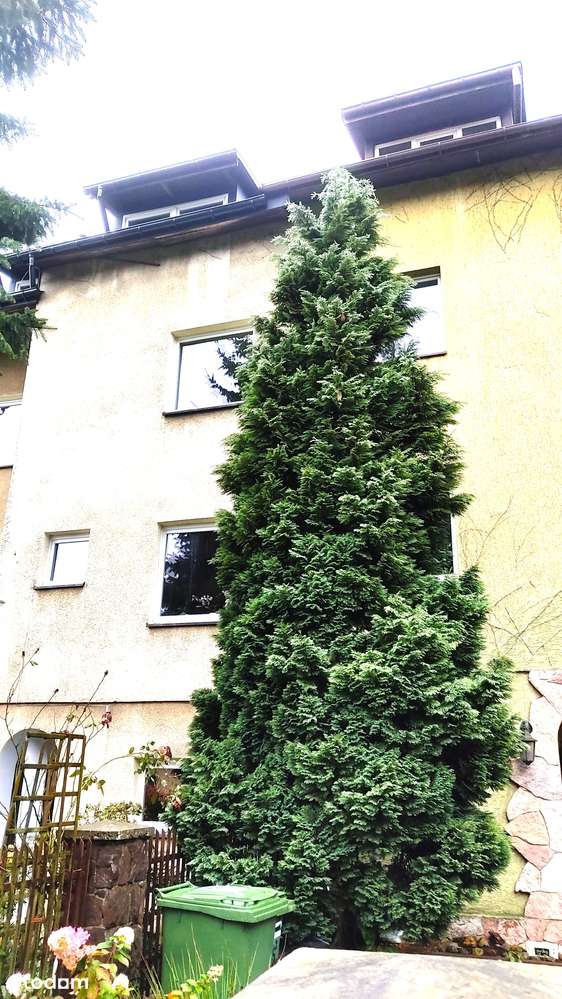 Przestronny dom szeregowy na działce 610 m2 na Stokach-14