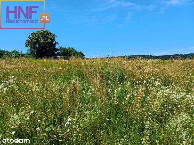 Działka 7,64ar Paszyn - Pełny obrazek: 4/9