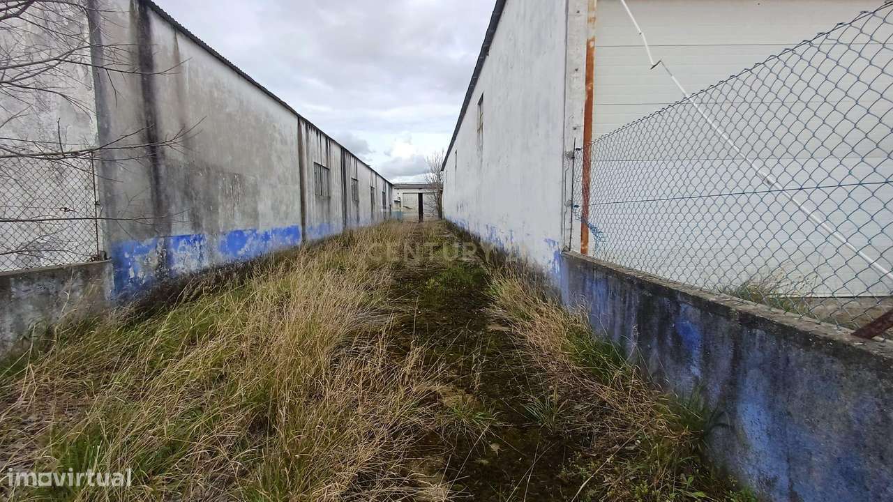 Armazéns na Zona Industrial de Almeirim - Grande imagem: 5/13