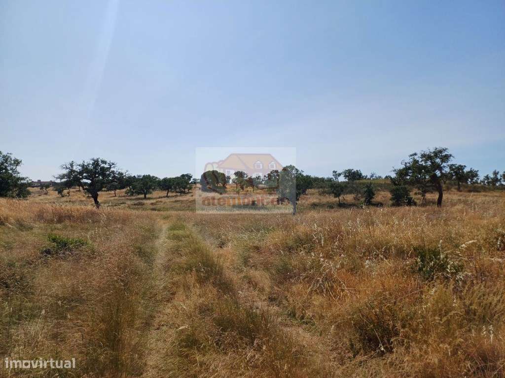 Terreno com 7 hectares - viabilidade para habitação e Turismo-9