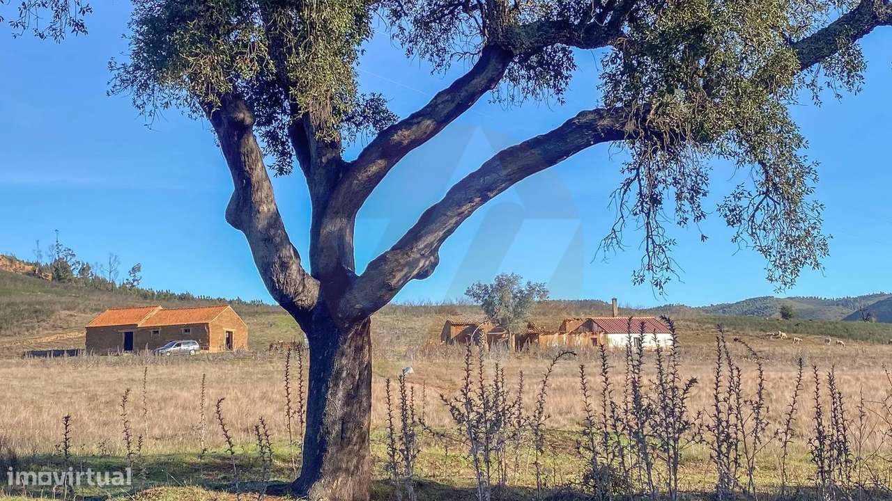 Quintinha Barranco do Penedo-5