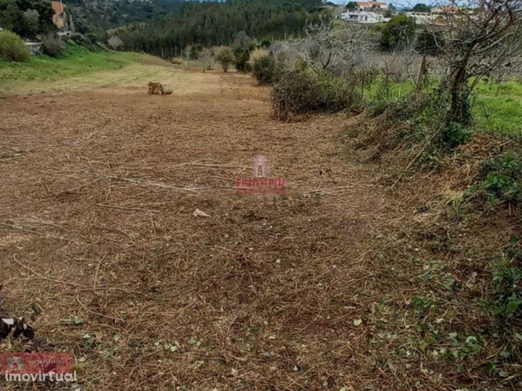 Terreno Urbanizável, Alcobaça