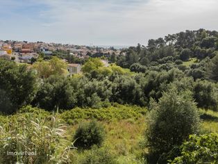 Terreno Venda Cascais