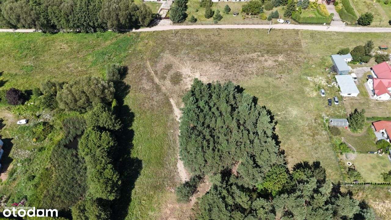 Działka, 3 000 m², Linarczyk - Pełny obrazek: 5/8