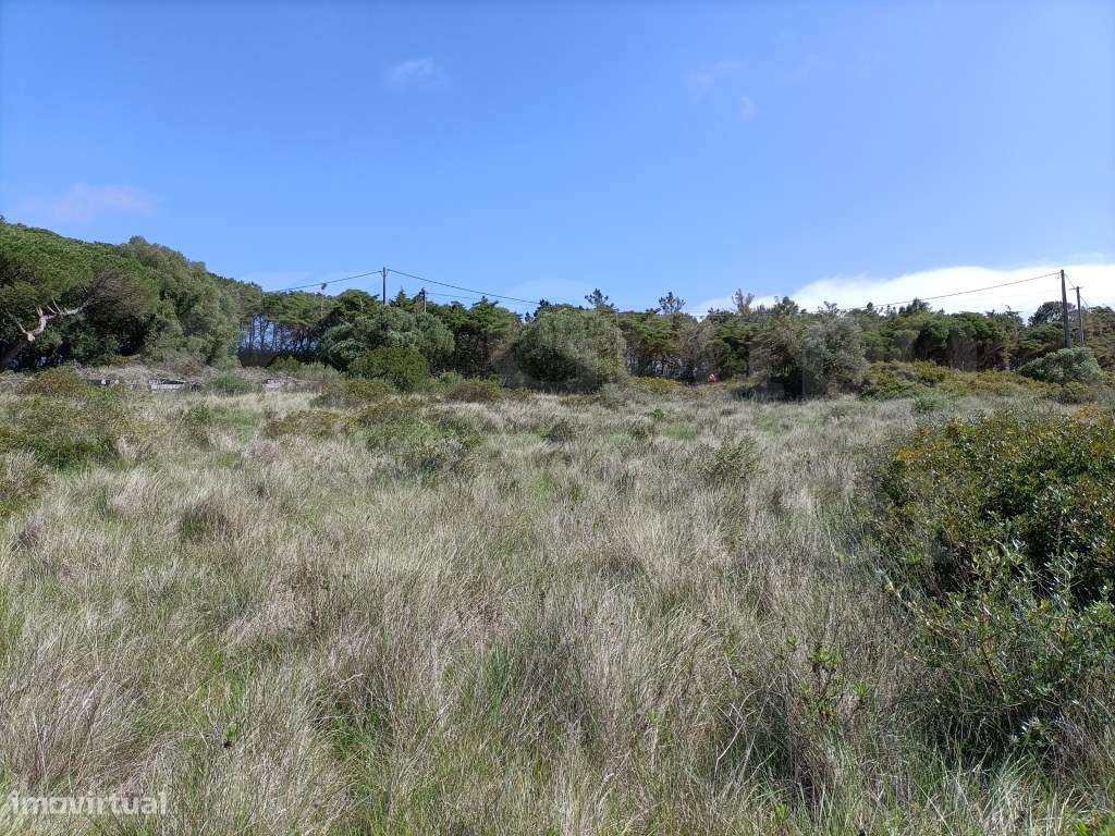 Terreno rústico para plantio de vinha e outras culturas - Grande imagem: 4/7