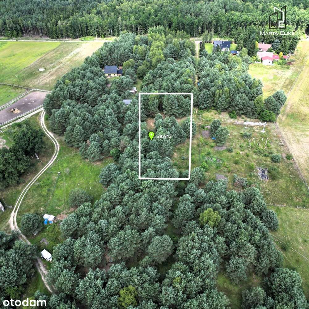 Na sprzedaż działka z WZ Straduń/Trzcianka-1