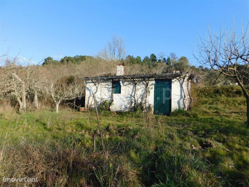 Quintinha / Fundão, Souto da Casa