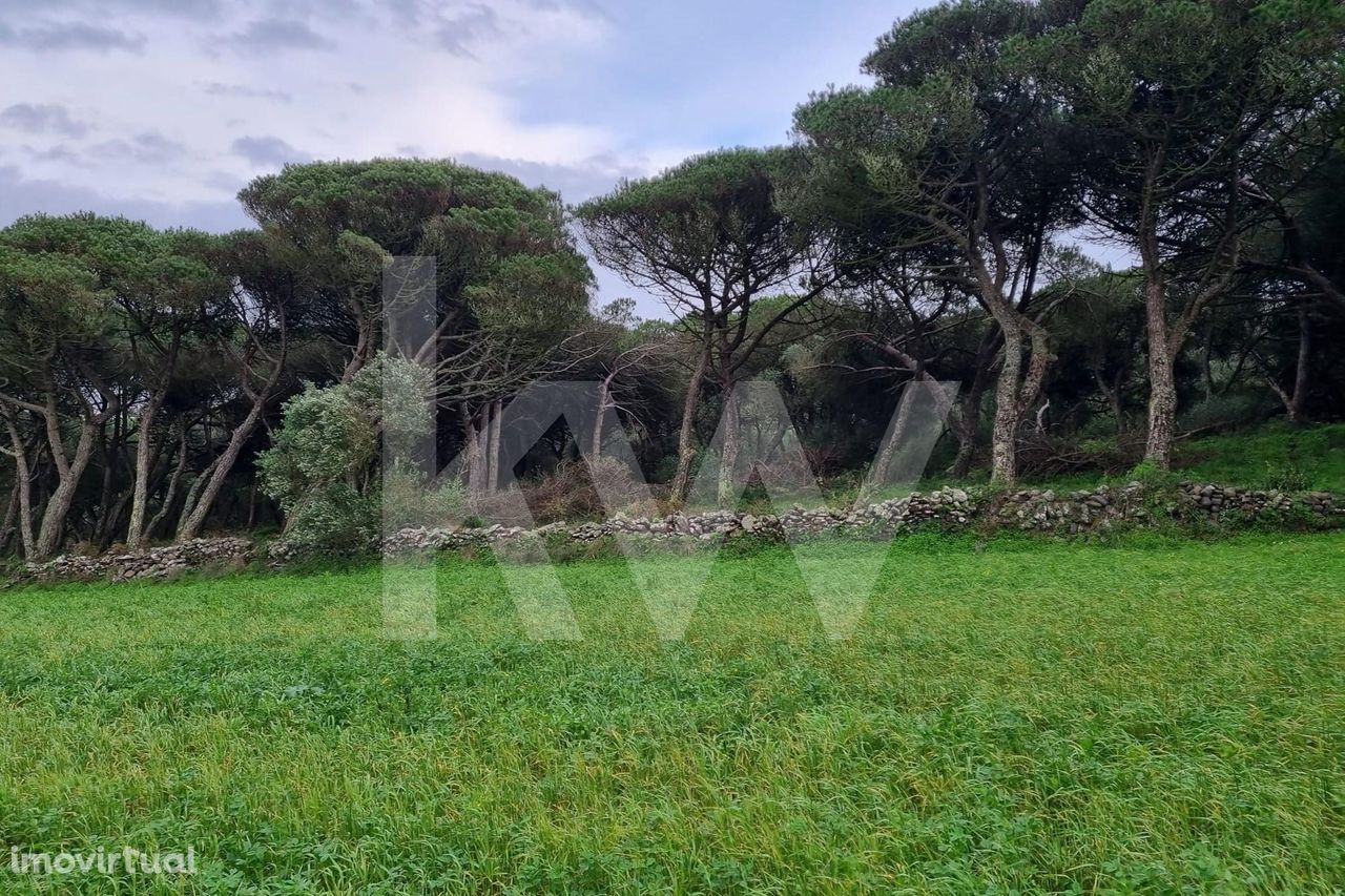 Terreno Rústico (1480m2) para venda em São João das Lampas